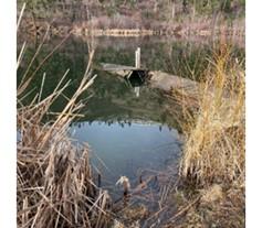 A boardwalk partially submerged.