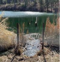 A boardwalk removed from a lake.