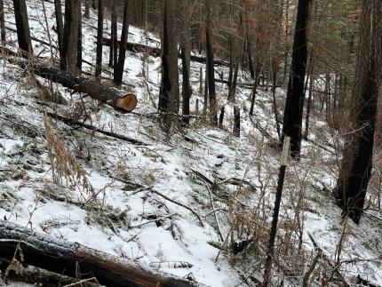 Fence lines in Cooper Canyon at Smoothing Iron. 