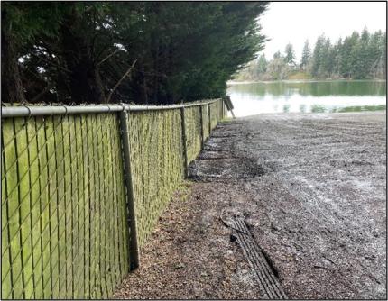 A shot of Ward Lake after improvement.