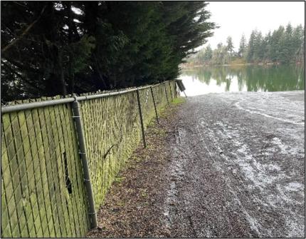 A shot of Ward Lake before improvement.