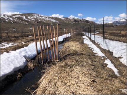 A set of four beaver dam analogs in the Scotch Creek riparian area.