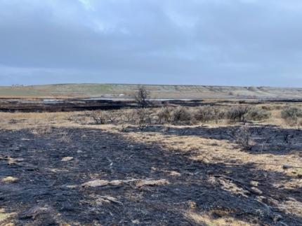 Clark Pond fire