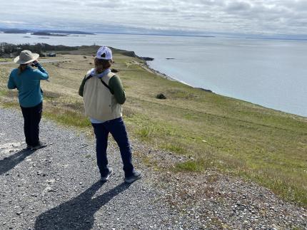 Biologists Combs and Krock are on the lookout for IMB.