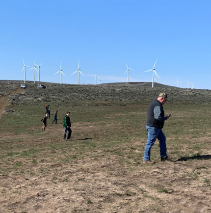 A row of people conducting a survey in the Whiskey Dick Wildlife area.