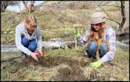 Oroville High School students planting native shrubs along Tonasket Creek.