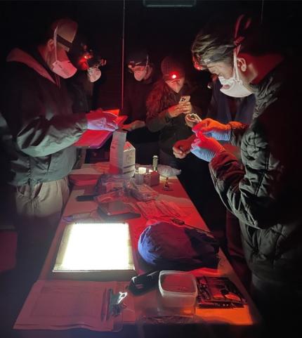 Biologists in a dark room sampling bats.