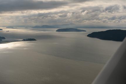 A view from the plane during the annual snow goose survey.