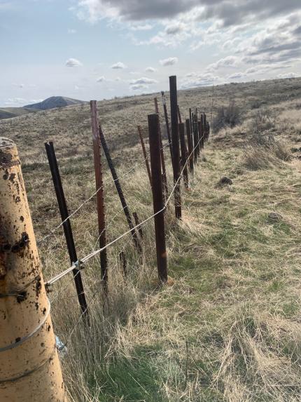 Photos of new posts and wire string on each side of the Roza gate.