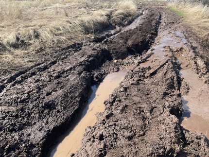 Muddied road conditions.