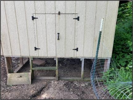 A chicken coop damaged by a bear.