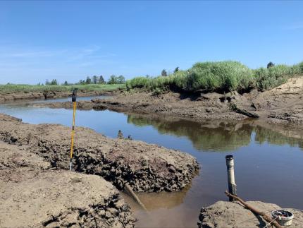 Spencer Island in the Snoqualmie Wildlife Area downloading level logger data.