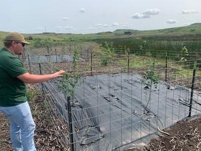 Wagner looking at shrub plots