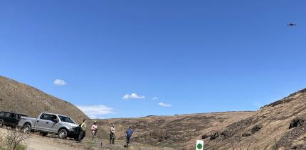 A drone in the L. T. Murray Wildlife Area.