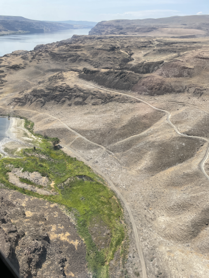 An aerial view of Whisky Dick Bay