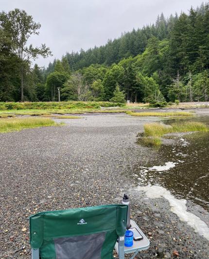 A pigeon survey site in Skagit County