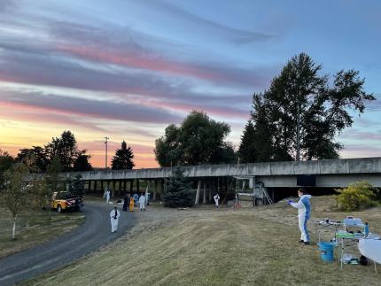 A bat capture team next to a road