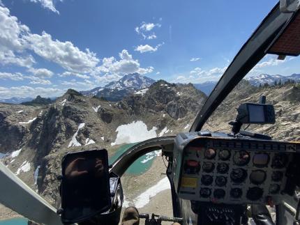 A goat survey being conducted by aircraft