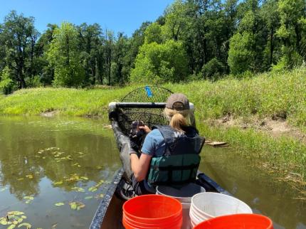 Technician Motiff in a boat with a net