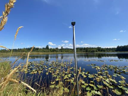 A bat detector set up near a lake