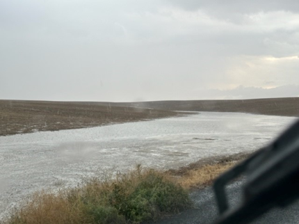 Severe thunderstorm