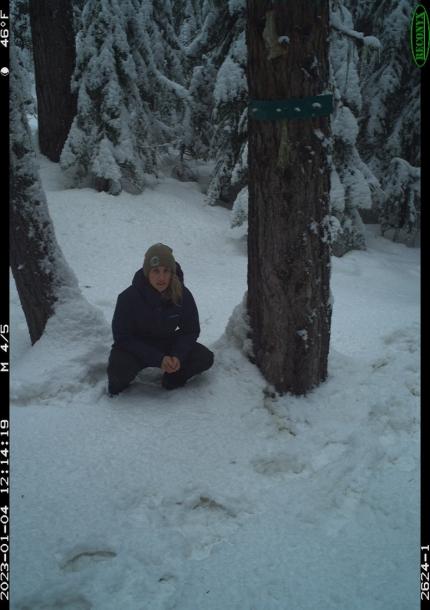 District Wildlife Biologist Wampole deploying trail cameras.