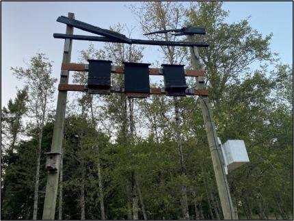 One of the five structures on the property that support bat boxes.