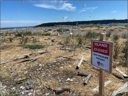 A sign at rat island