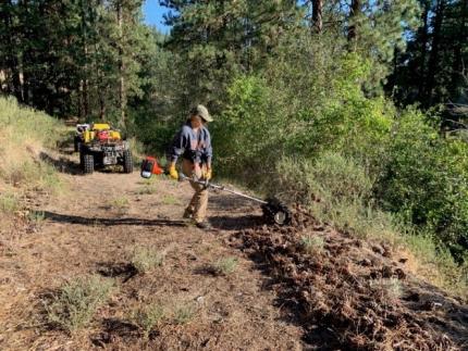 An employee clearing a trail