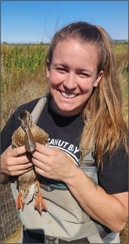 Biologist Moore with a northern shoveler