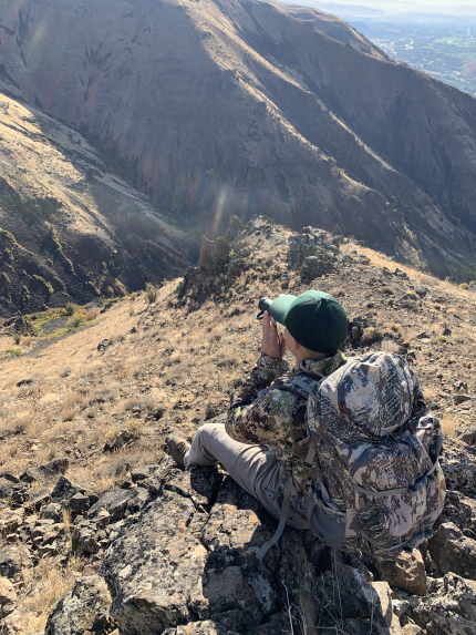 Cardenas sitting down searching for sheep