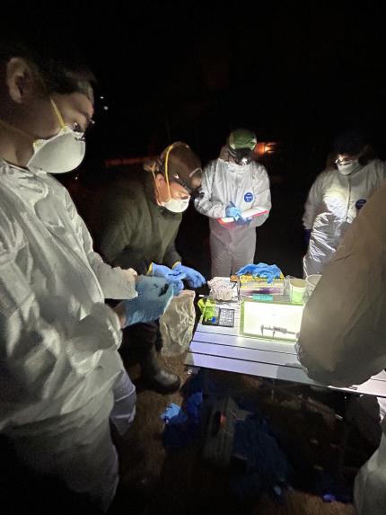 Several employees working with a bat