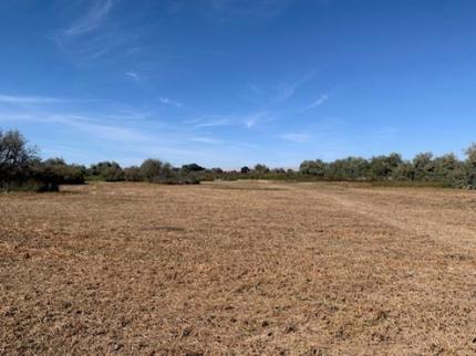 A field after mowing