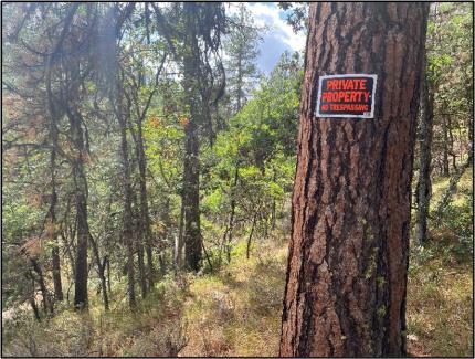 A private property sign on a tree