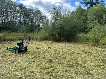 An area mowed