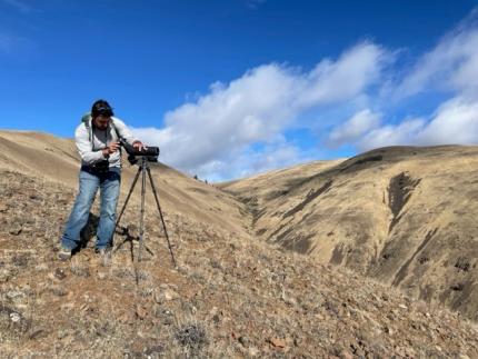 DiMarco glassing for bighorn sheep