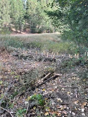 Beaver dam analogs in the Teanaway Valley Unit