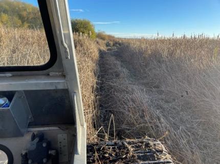 The view from the marsh master mowing weeds in a wetland. 