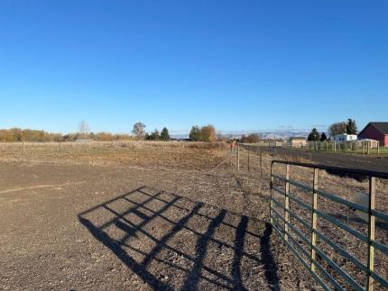 Boundary fence along Stovall Road after the kochia and Russian thistle was cleared from both sides of the fence.