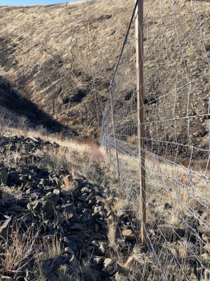 Cable suspension section of the Wenas’s elk fence.