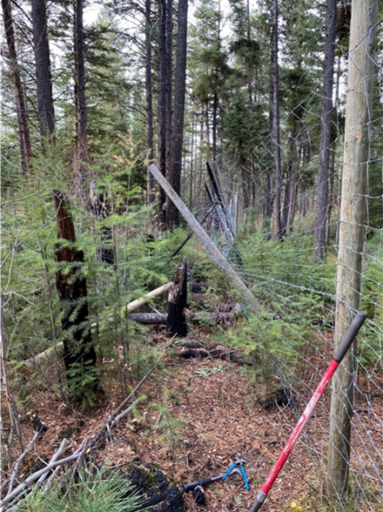 Rotten posts replaced near Iron Springs Road.