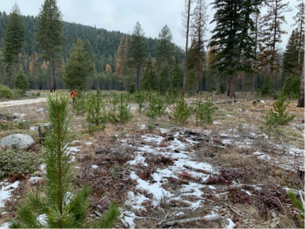 Before and after, LeClerc Creek Wildlife Area.