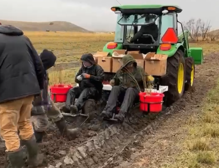 Several staff members and a tractor planting trees and shrubs