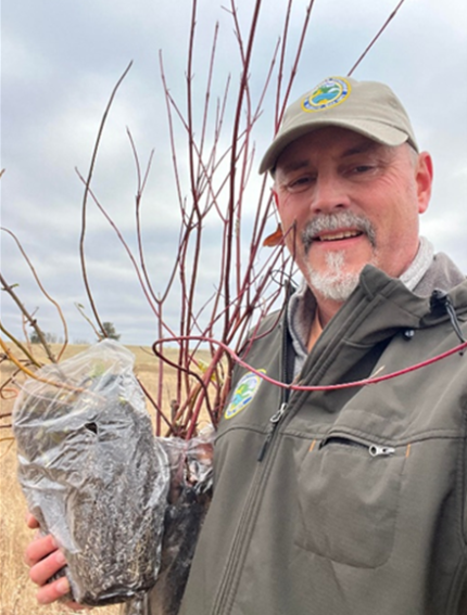 Braaten planting trees