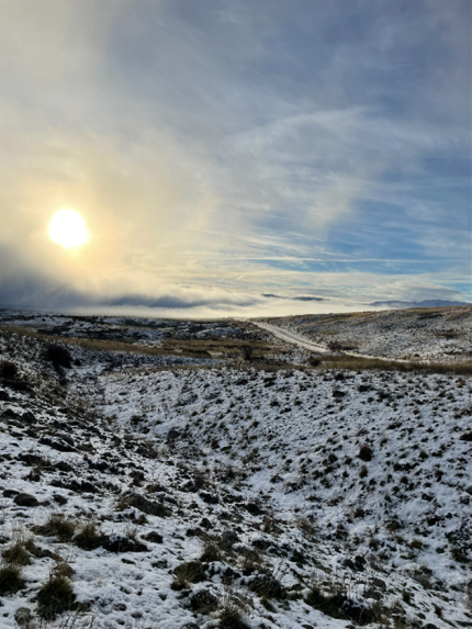 Area adjacent to a sharp-tailed grouse lek.