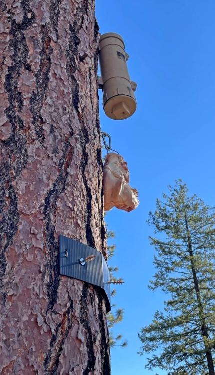 Finished scent dispenser set-up.  