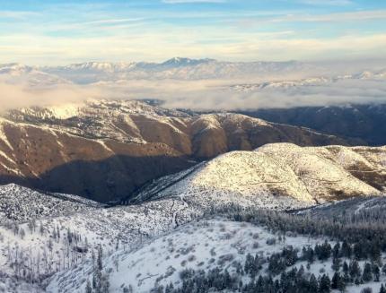 Mule deer winter range in the Entiat foothills.