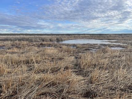 Prescribed burn location for February or March. 