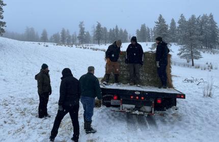 PR fund auditors getting a rare experience feeding elk. 