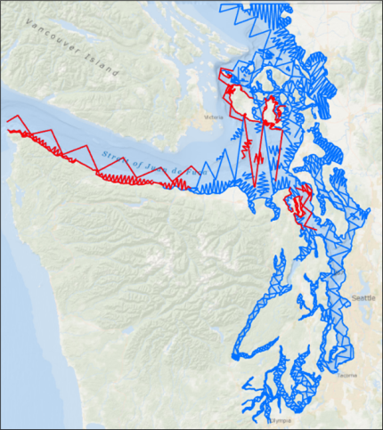 A map with survey lines